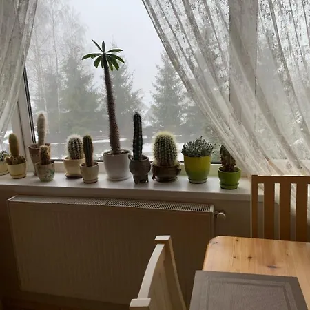 Anastasia Guest house Slavske