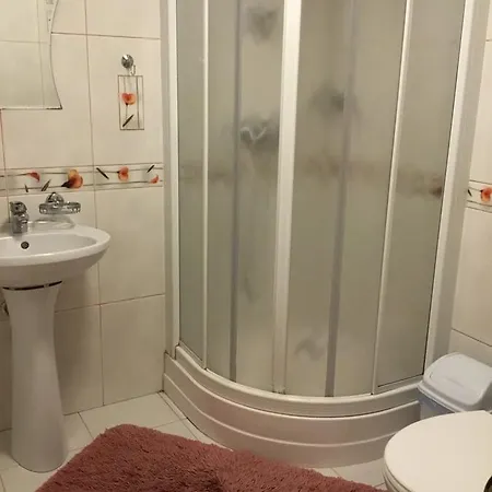 Guest house Anastasia Slavske