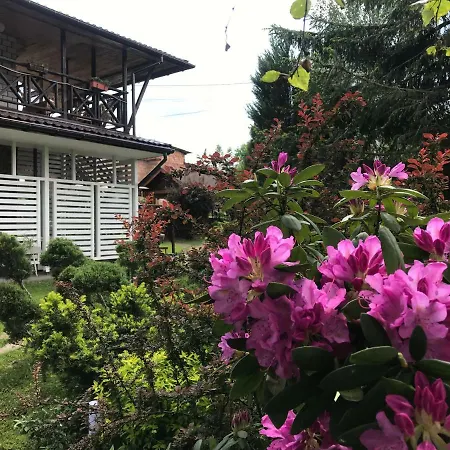 Guest house Anastasia Slavske